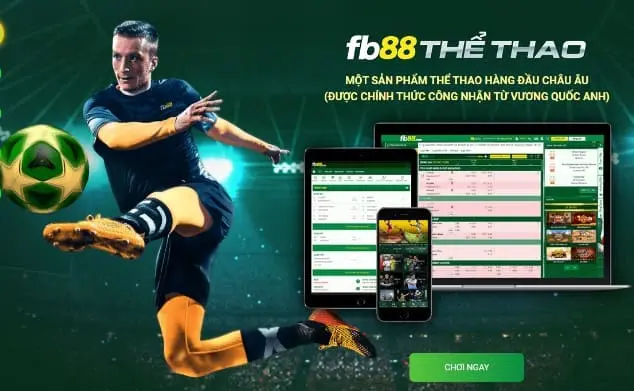 Quy tắc khi cá độ bóng đá