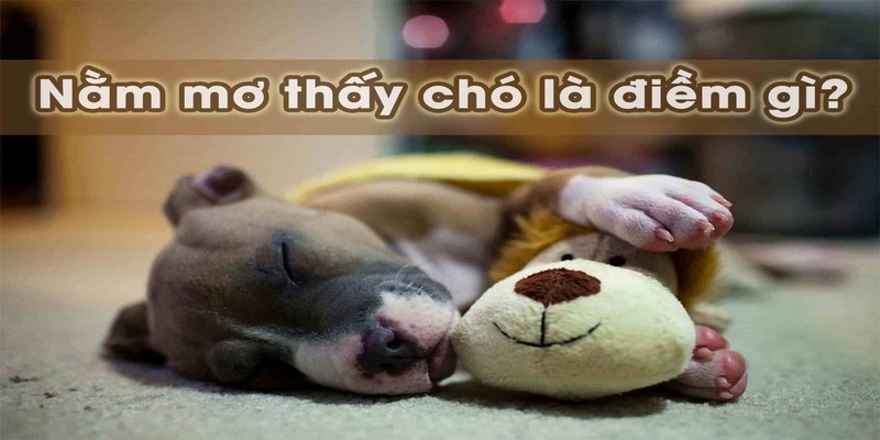 nam-mo-thay-cho-la-diem-bao-gi[1]