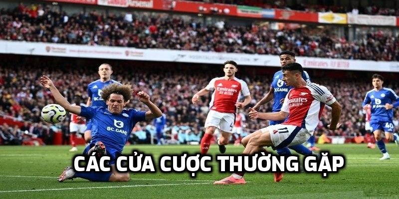 Các kèo cược thường gặp
