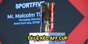 Tỷ Lệ Kèo AFF Cup – Phương Pháp Đặt Cược Thành Công