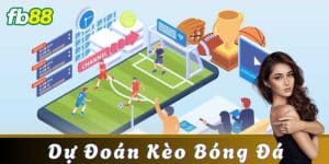 Một số yếu tố quan trọng cần được chú ý để nâng cao khả năng dự đoán