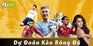 Bí quyết để tăng tỷ lệ thắng khi dự đoán kèo bóng đá