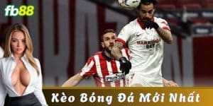 Hướng dẫn cách xem và cập nhật kèo bóng đá mới nhất